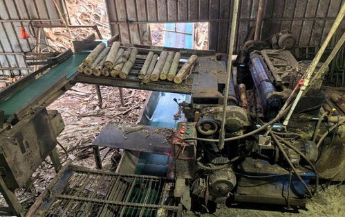 工人卷入齒輥遭輾壓身亡,雷州市英利鎮匯利木制品廠1 2事故查明