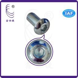 專業(yè)解析 內(nèi)六角盤頭螺絲M6、鉆尾自轉(zhuǎn)螺絲及其工廠供應(yīng)